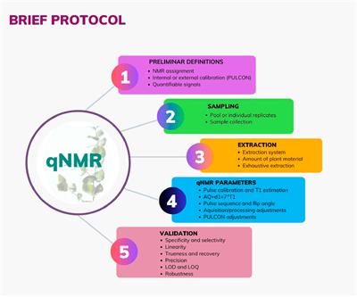 qNMR in natural products: practical approaches. What nobody tells you before starting your qNMR study!